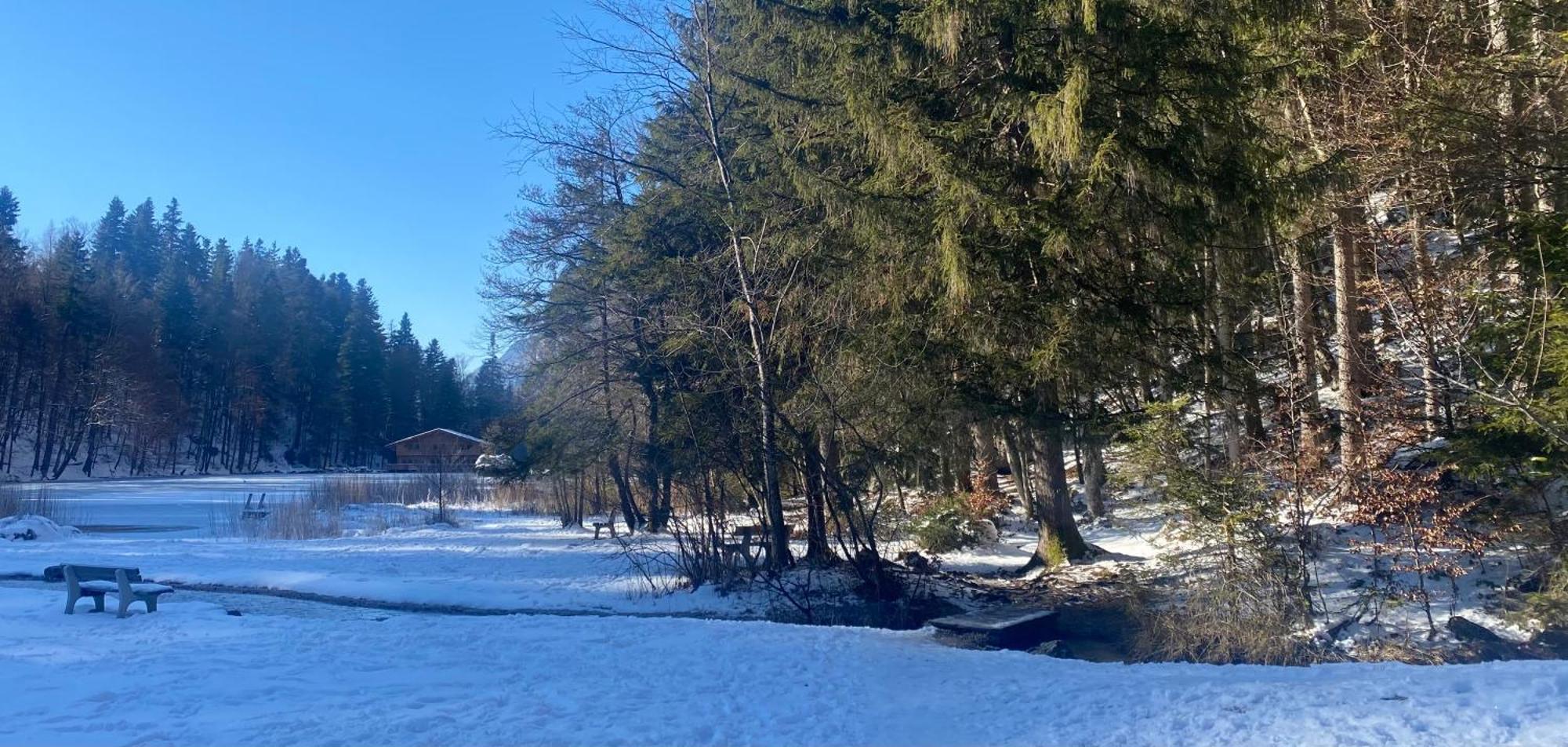 Appartamento Haus Hislop Inneralpbach Esterno foto